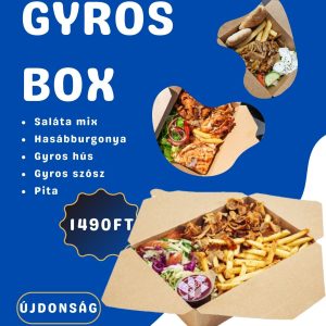 Gyros Box